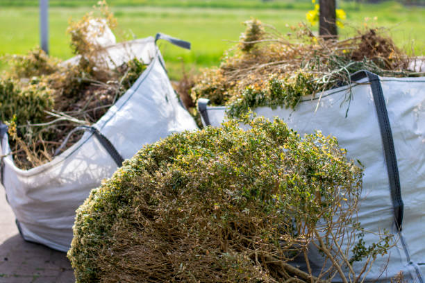 Shed Removal in Stanton, NE